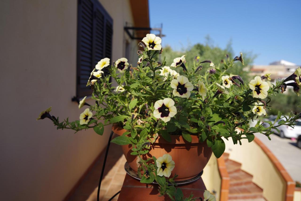 Balconcino Sugli Ulivi Bed and Breakfast Noto Exterior foto